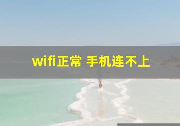 wifi正常 手机连不上